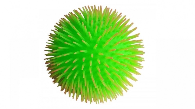 Palla lanuginosa melangiata luminosa