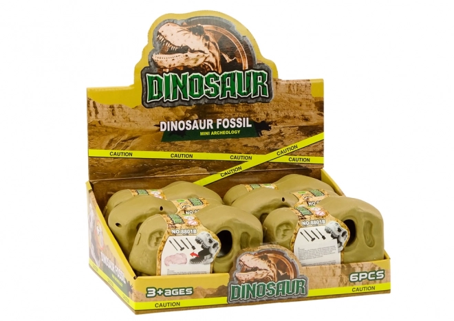 Set archeologico per bambini dinosauri fossili teschio