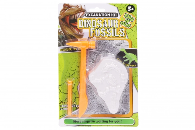 Scavo dinosauro