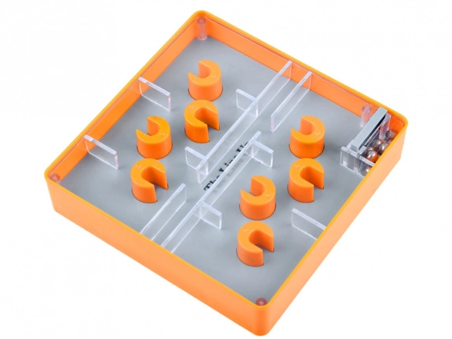 Gioco di equilibrio labirinto destrezza