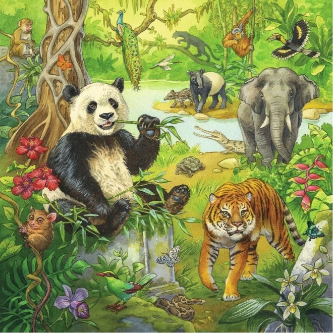 Puzzle Animali della Giungla 3x49 Pezzi