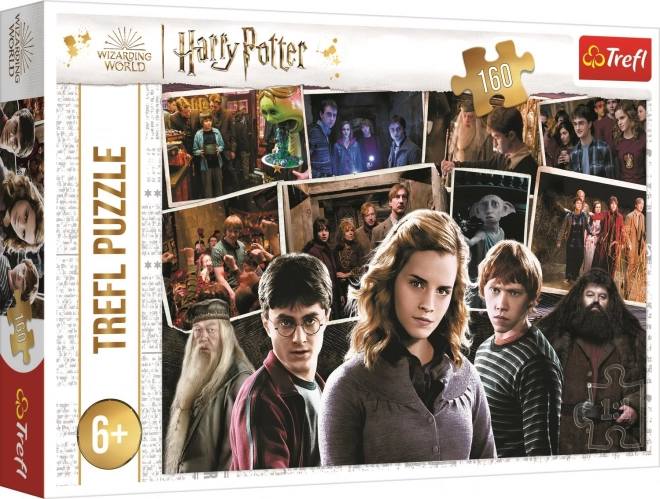 Puzzle Harry Potter e amici 160 pezzi