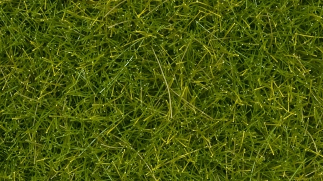 Erba statica Noch selvatica verde chiaro 12 mm