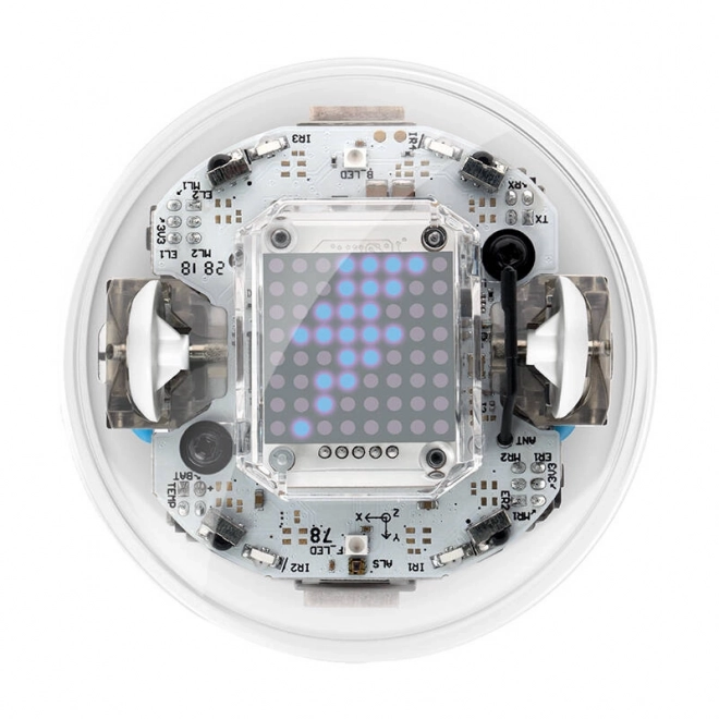 Sphero Bolt robot educativo per la programmazione