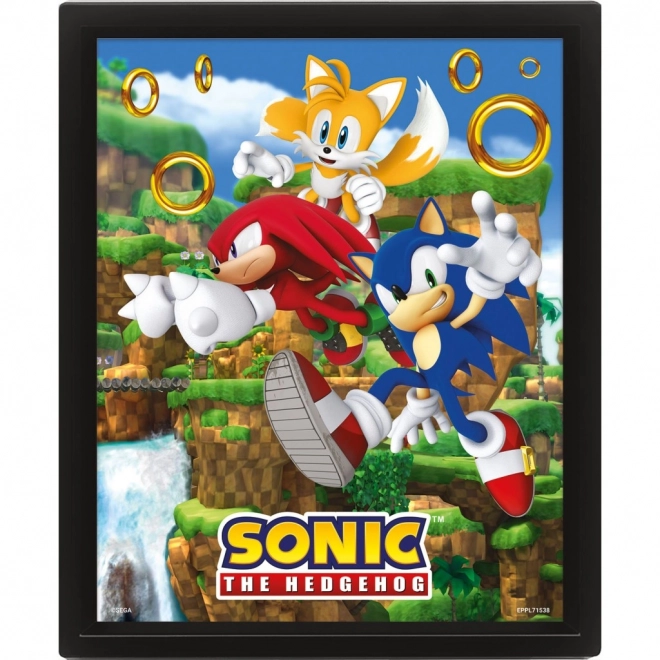 Quadro 3D Sonic con Effetto Lenticolare