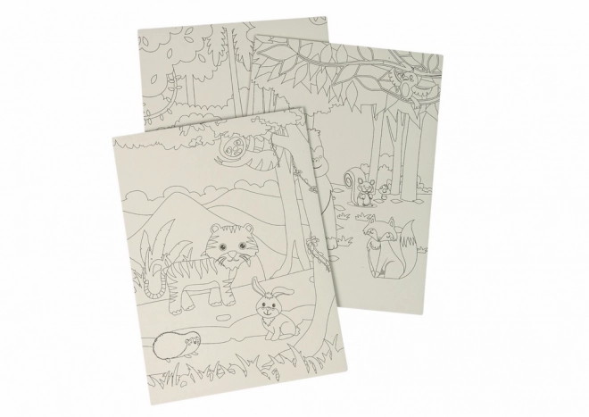 Libri da colorare da grattare per bambini Animali allo zoo