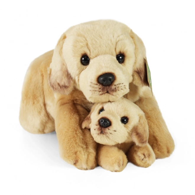 Cane di peluche Labrador con cucciolo sdraiato 25 cm