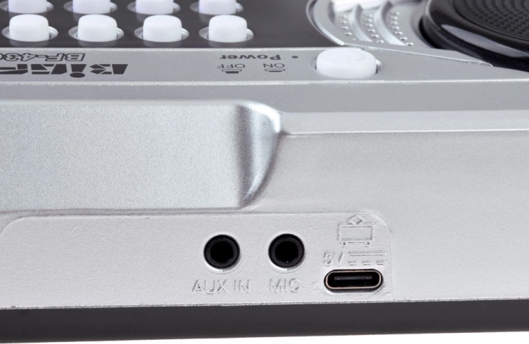 Canta e suona con AUX IN e microfono