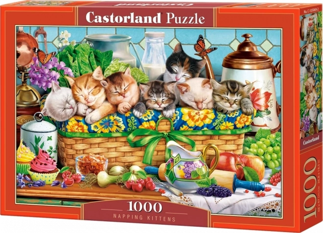 Puzzle Castorland Gattini Addormentati 1000 Pezzi