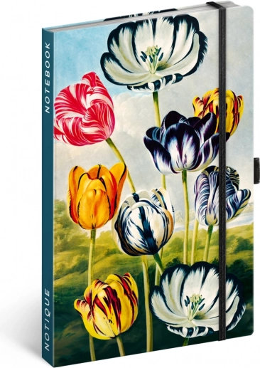 Quaderno Tulipani di Kateřina Winterová, a righe, 13 x 21 cm