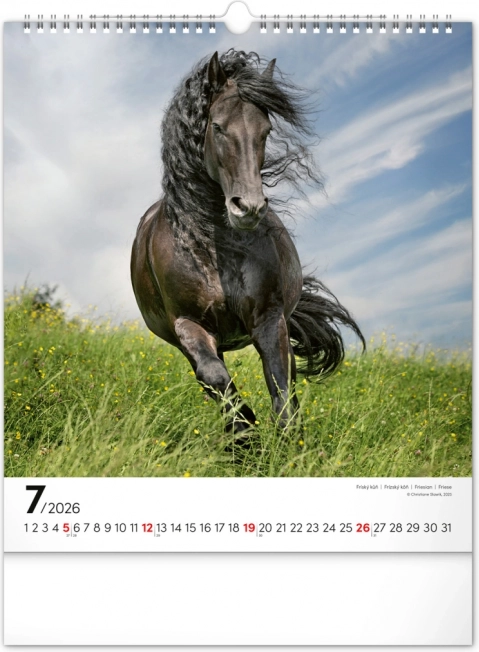 Calendario da parete cavalli 2026