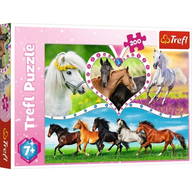 Puzzle 200 Pezzi - Bellissimi Cavalli