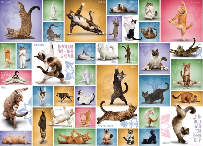 Puzzle Yoga Gatti 1000 Pezzi