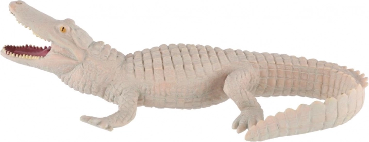 Plastica resistente per il gioco quotidiano