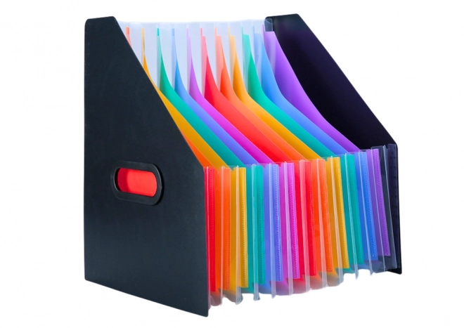 Cartella verticale organizzatore con divisori colorati nero A4