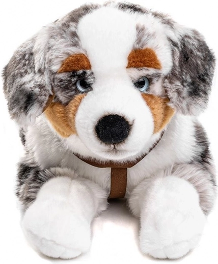 Pettuore per ancora più divertimento