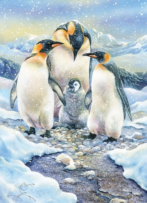 Puzzle per famiglie Famiglia di pinguini 350 pezzi COBBLE HILL