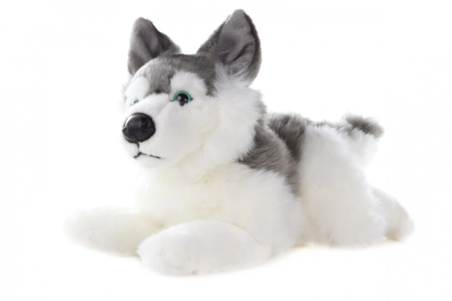 Peluche Husky 34 cm