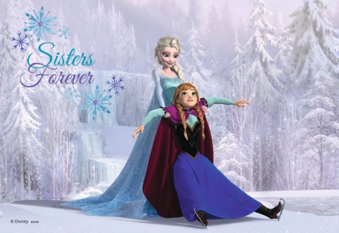 Puzzle RAVENSBURGER Frozen: Sorelle per sempre 2x24 pezzi