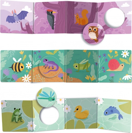 Finestrelle interattive e gettoni da inserire