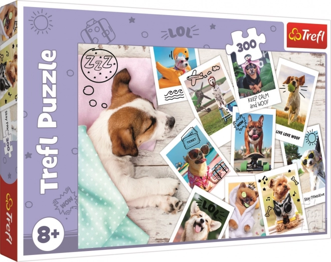 Puzzle foto delle vacanze 300 pezzi