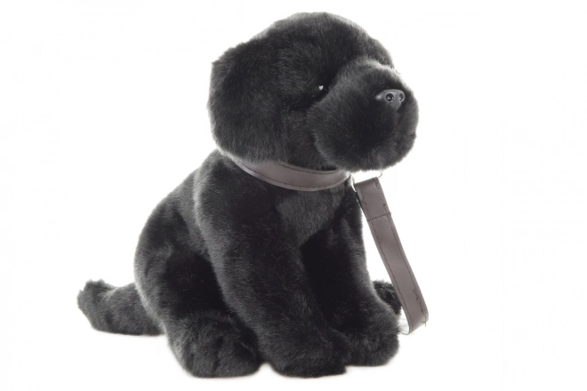 Labrador di Peluche con Guinzaglio - Eco-friendly