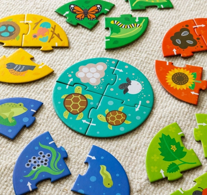 Petit Collage Puzzle Scopri il Ciclo della Vita
