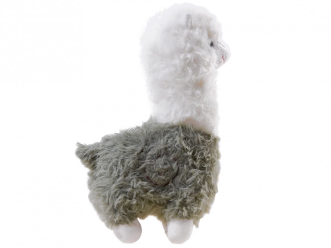 Peluche Lama Alpaca Soffice – verde