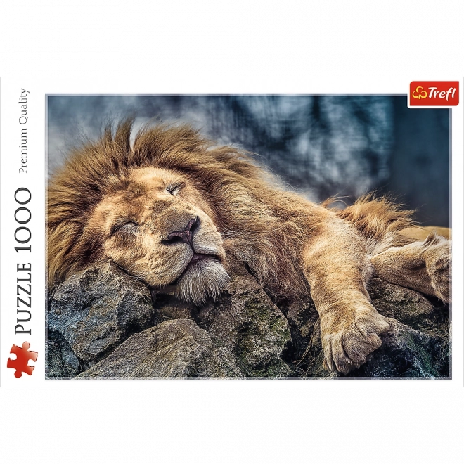 Puzzle TREFL Leone Addormentato 1000 Pezzi