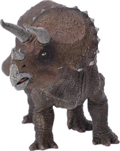 Perfetto per tutte le età