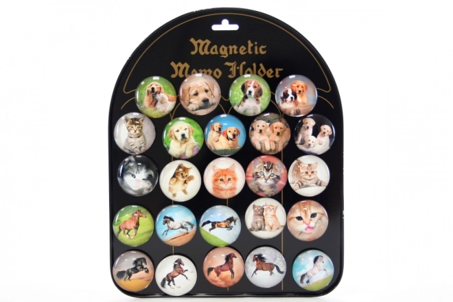 Set di magneti animali