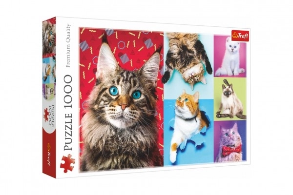 Puzzle Gatti Felici 1000 Pezzi