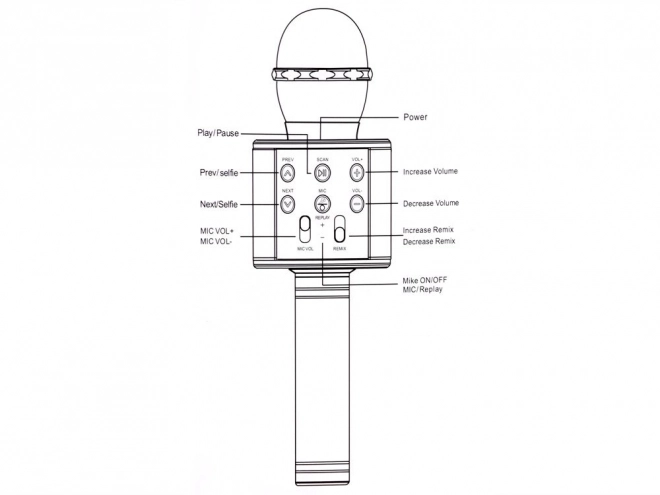 Microfono Karaoke Wireless con Altoparlante