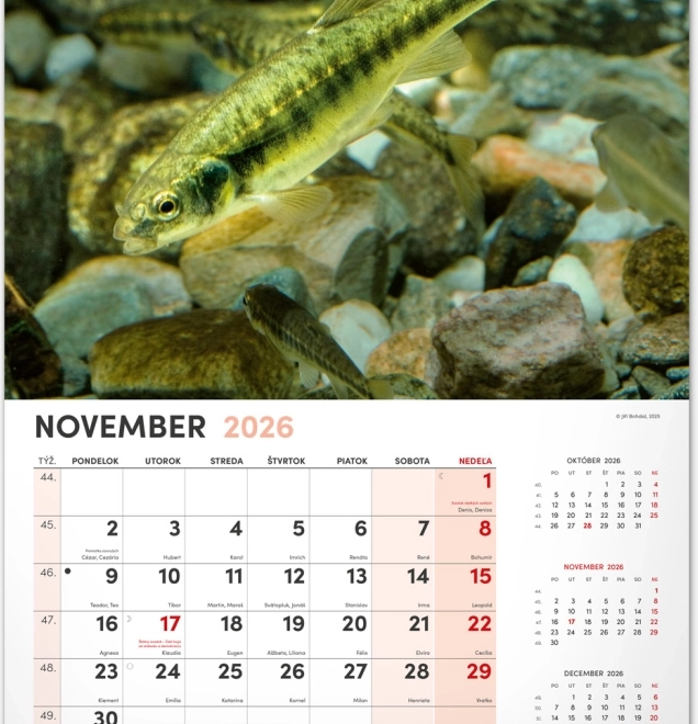 Calendario da parete di pesca 2026