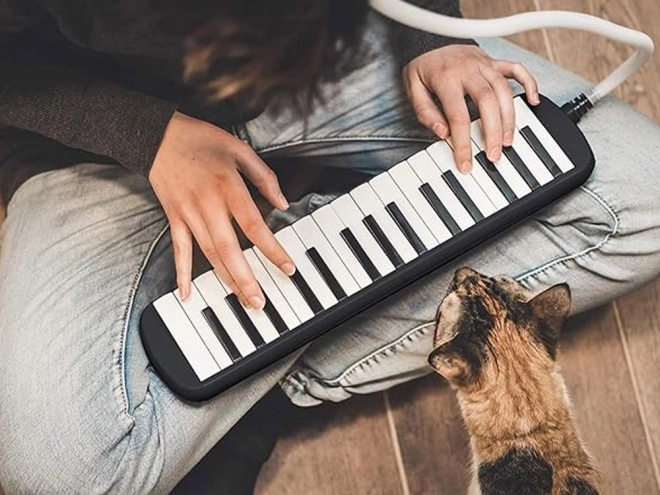 Melodica musicale con custodia e due bocchini