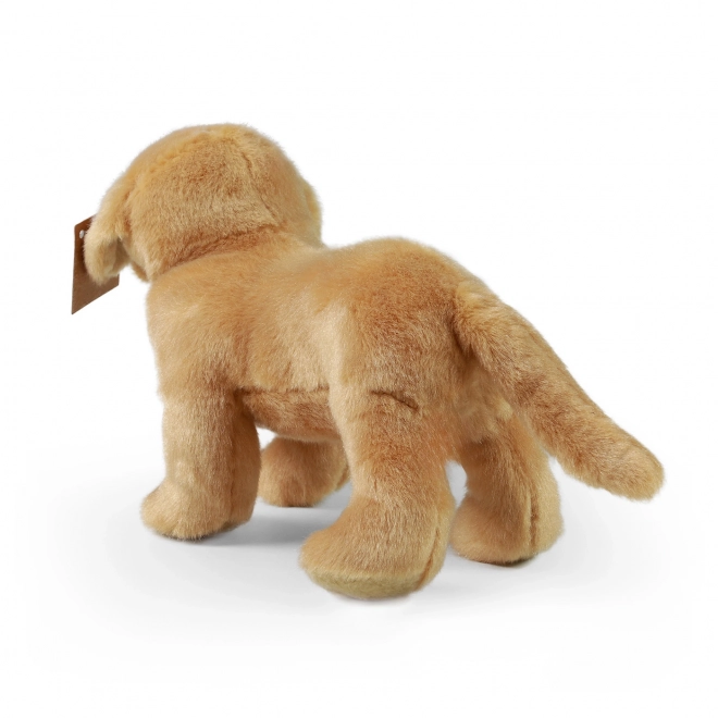 Labrador di Peluche 20 cm ECO-FRIENDLY