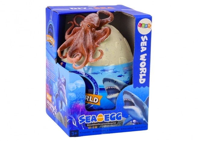 Uovo Con Figure Di Animali Marini E Piante Octopus