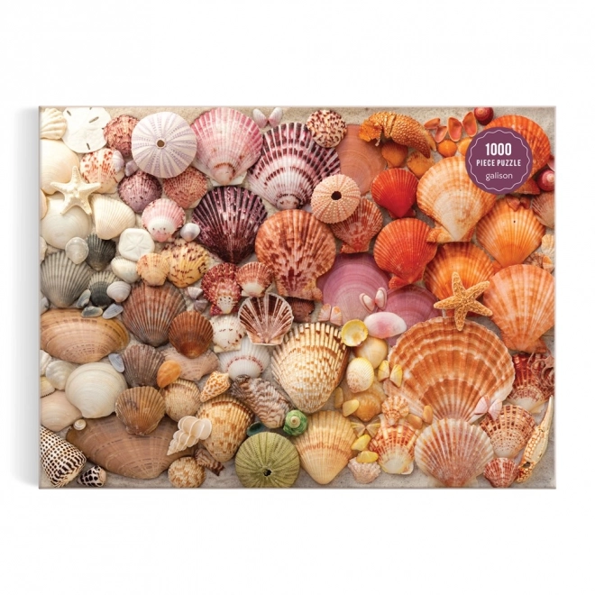 Puzzle Galison Conchiglie Luminosi 1000 Pezzi