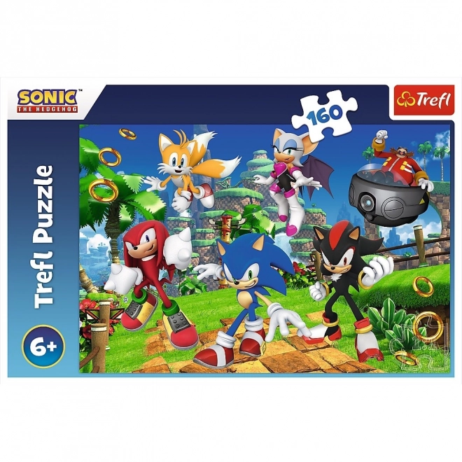 Puzzle 160 pezzi Sonic e amici