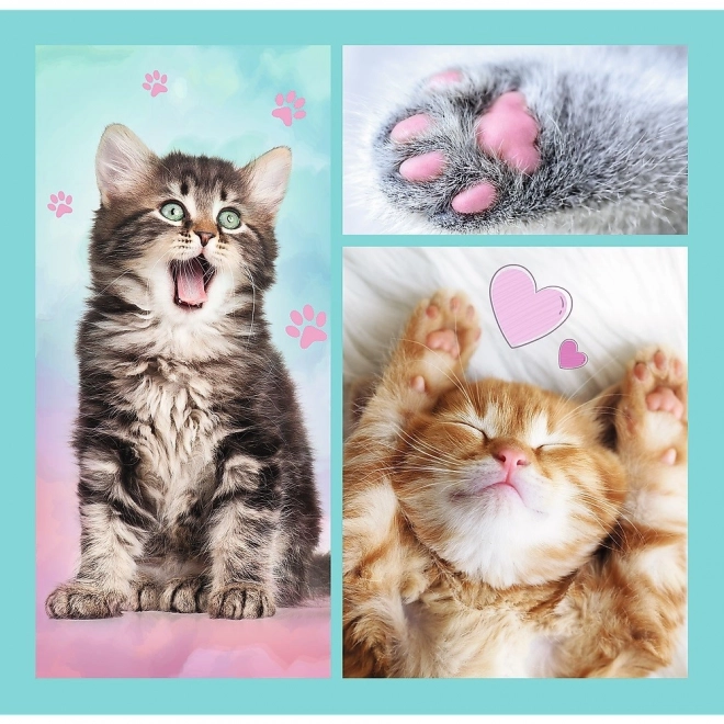 Puzzle dolci gattini