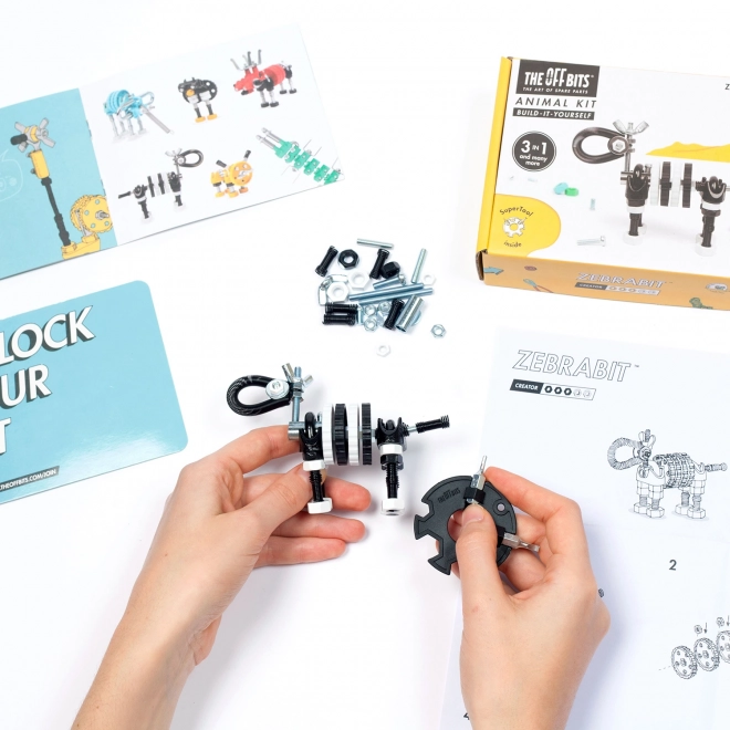 Stavebnice ZebraBit intraprendente e creativa