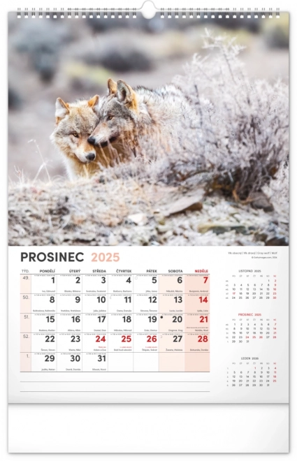 Calendario da parete 2025 cacciatore e natura ceca