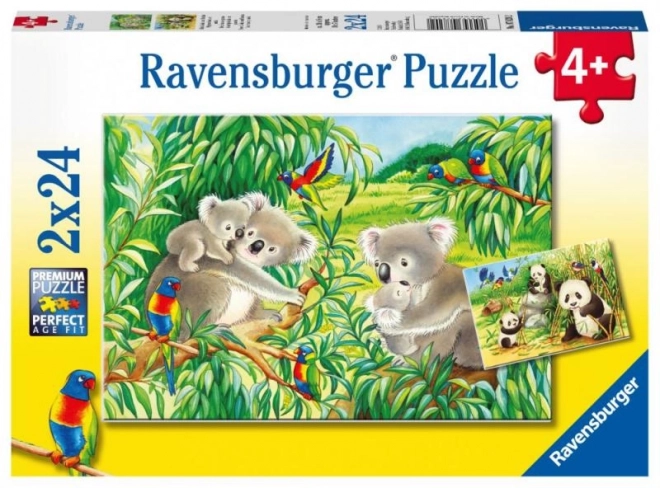 Puzzle Koala e Panda 2x24 Pezzi