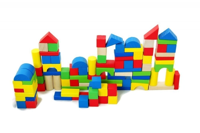 100 pezzi per costruzioni senza fine