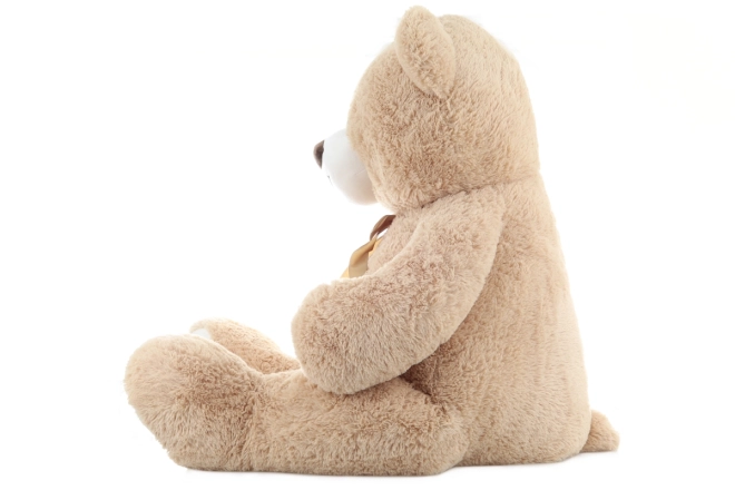 Design adorabile con fiocco