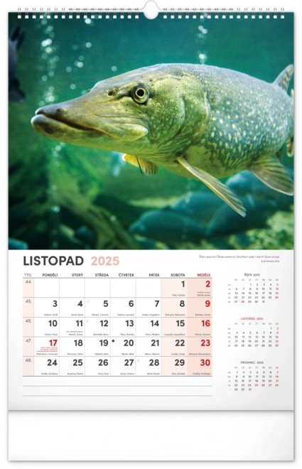 Calendario da Parete da Pesca 2025