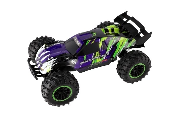 Auto Rc Buggy Veloce 2,4 GHz Plastico 40cm Ricaricabile Viola