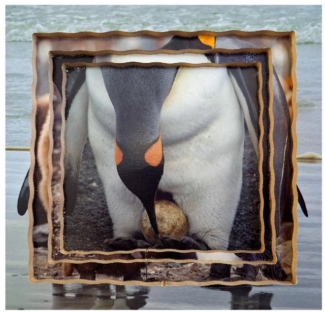 Puzzle in legno a strati del ciclo di vita del pinguino