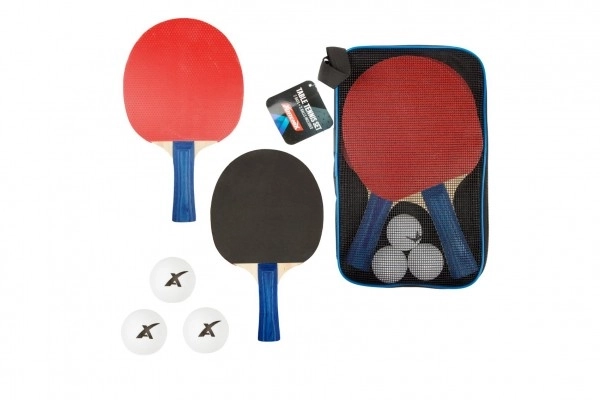 Set da ping pong con 2 racchette e 3 palline in custodia