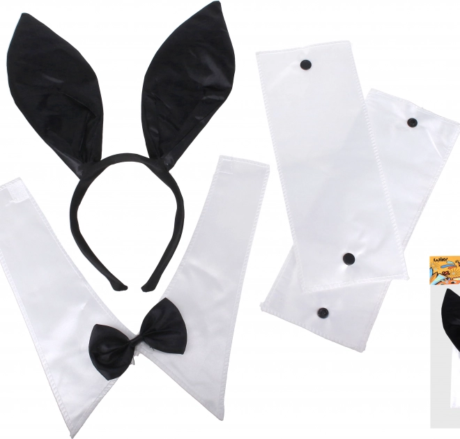 Set carnevale coniglio